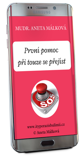 jak zabránit přejedení